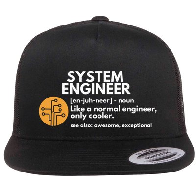 Funny System Engineer Definition Software Engineering Gift Flatbill Hat