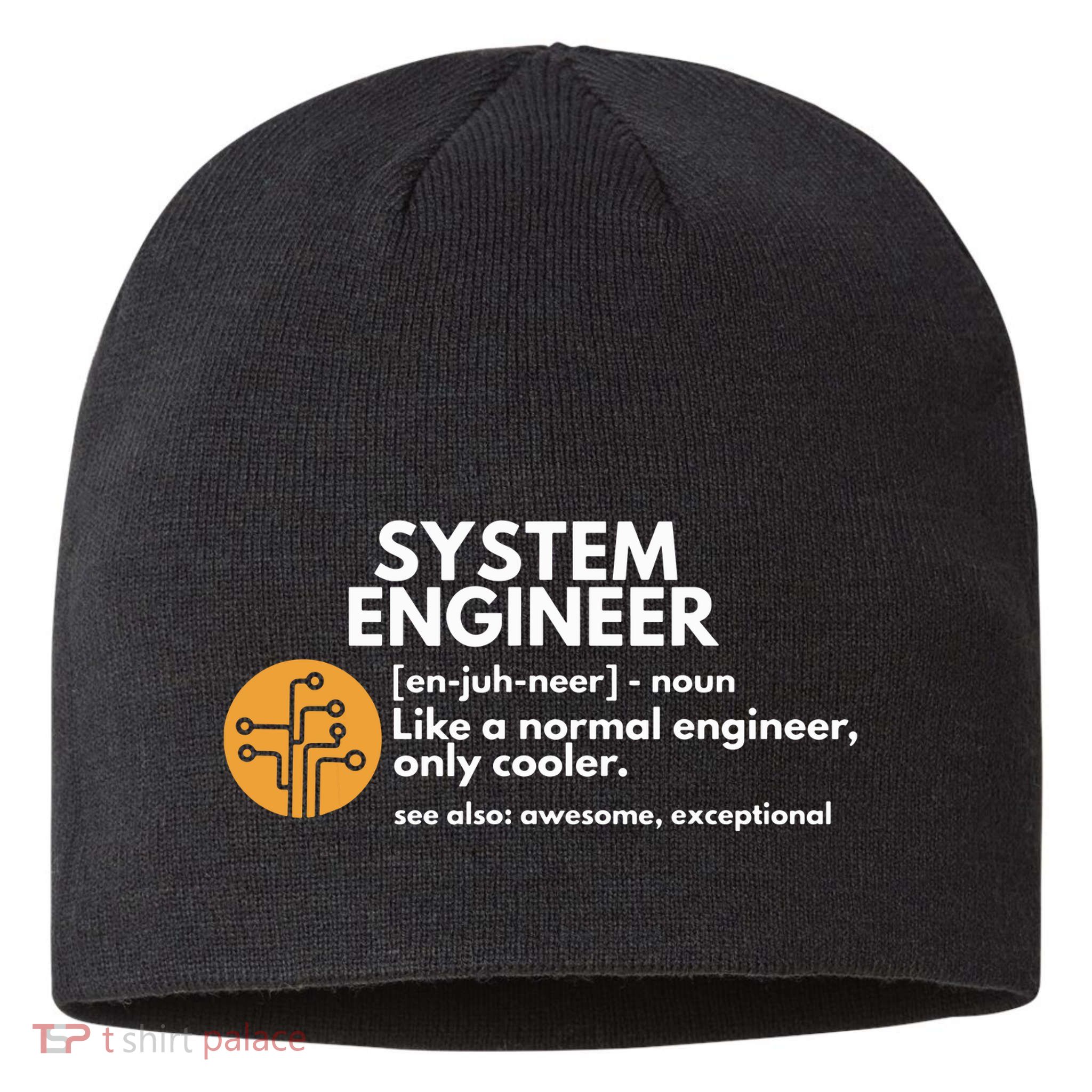Funny System Engineer Definition Software Engineering Gift Sustainable Beanie