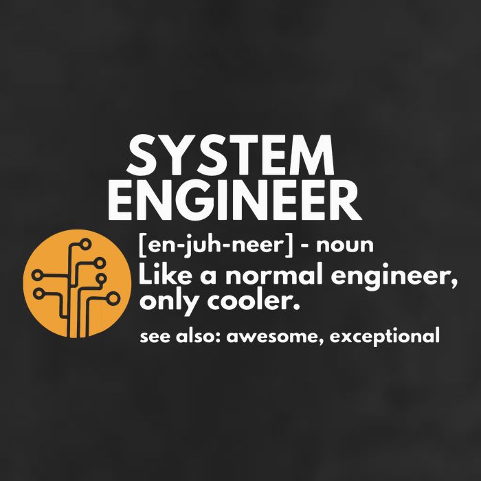 Funny System Engineer Definition Software Engineering Gift Tumbler