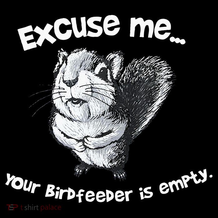 Funny Squirrel Excuse Me Your Birdfeeder Is Empty Tie Dye Hoodie