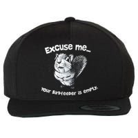 Funny Squirrel Excuse Me Your Birdfeeder Is Empty Wool Snapback Cap