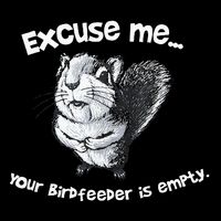 Funny Squirrel Excuseme Your Birdfeeder Is Empty Button