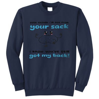 Funny Stepdad Even Though IM Not From Your Sack Sweatshirt