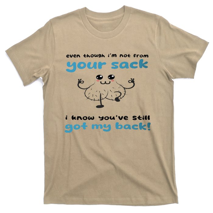 Funny Stepdad Even Though IM Not From Your Sack T-Shirt