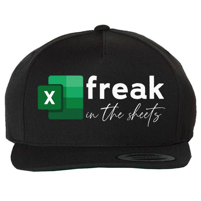 Funny Spreadsheet Freak In The Sheets Accountant Wool Snapback Cap