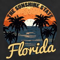 Florida Sunset 11oz C Handle Ceramic Mug
