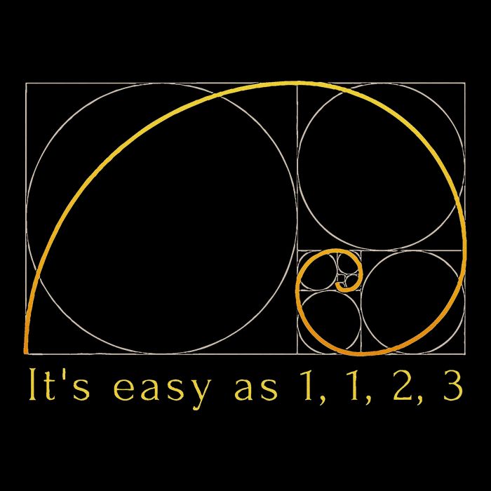 Fibonacci Spiral Fibonacci Sequence Fibonacci Golden Ratio Daily Commute Backpack