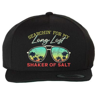 Funny Searching For My Long Lost Shaker Of Salt Shaker Wool Snapback Cap