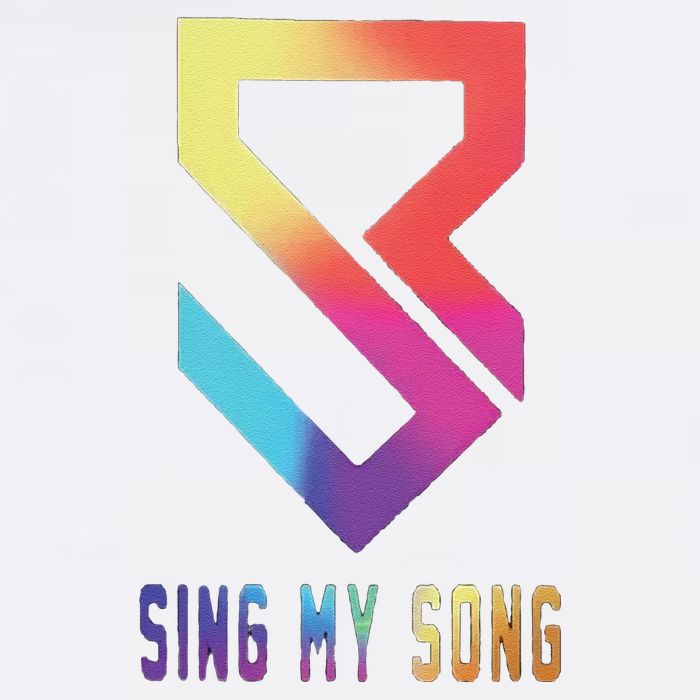Funny Seth Freakin Rollins Sing My Song Magnet