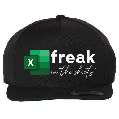 Funny Spreadsheet Freak In The Sheets Accountant Wool Snapback Cap