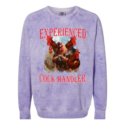 Funny Sayings For Adult Experienced Cock Handler Colorblast Crewneck Sweatshirt