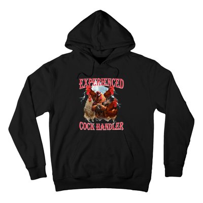 Funny Sayings For Adult Experienced Cock Handler Hoodie