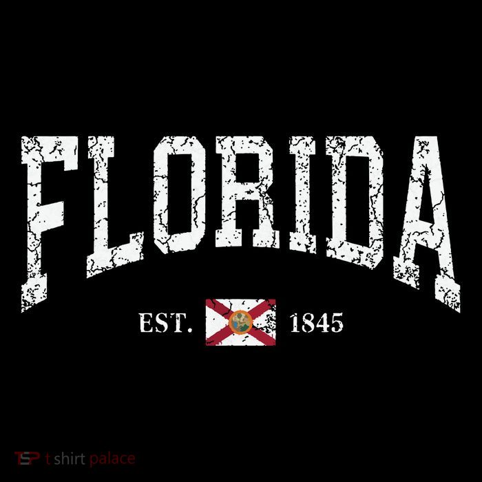 Florida State Flag Est 1845 Vintage Distressed Tank Top