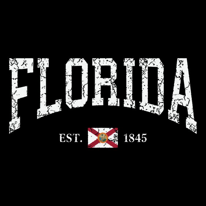 Florida State Flag Est 1845 Vintage Distressed Womens T-Shirt