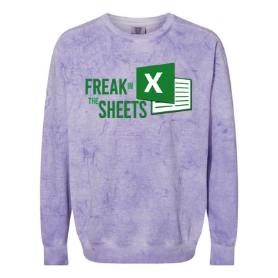 Funny Spreadsheet Freak In The Sheets Accountant Colorblast Crewneck Sweatshirt