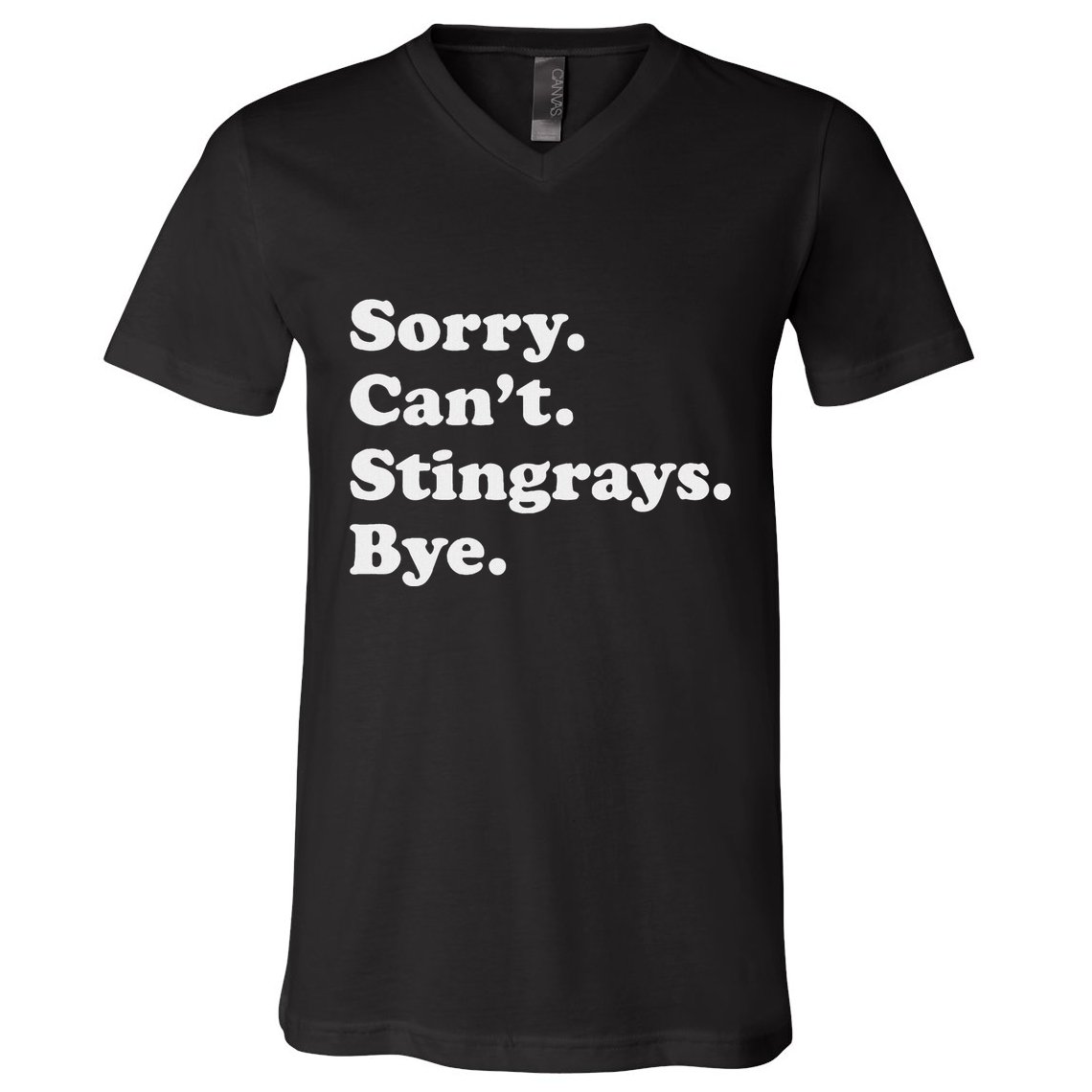 Funny Stingray Gift For Women Or V-Neck T-Shirt