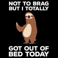 Funny Sloth - Got Out Of Bed Today Cropped Pullover Crew