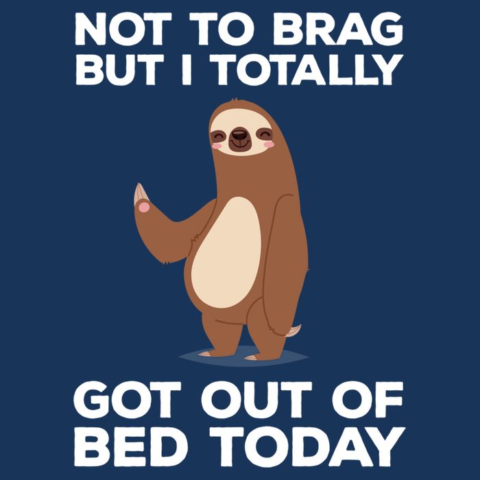 Funny Sloth - Got Out Of Bed Today T-Shirt