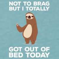 Funny Sloth - Got Out Of Bed Today Sueded Cloud Jersey T-Shirt