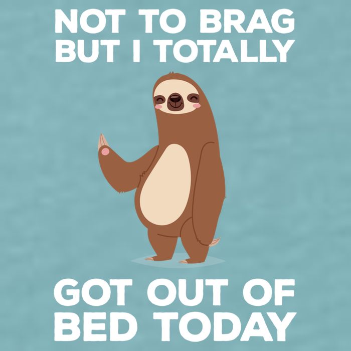 Funny Sloth - Got Out Of Bed Today Sueded Cloud Jersey T-Shirt