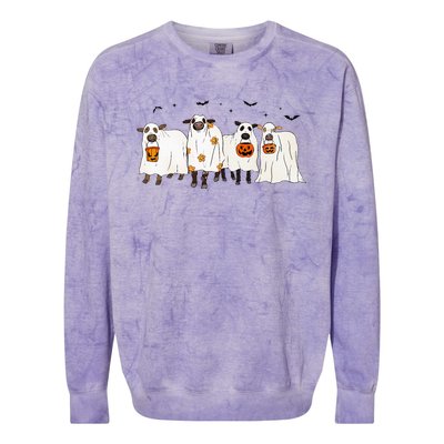 Funny S.H.E.E.P Ghost Cows Halloween Cute Colorblast Crewneck Sweatshirt