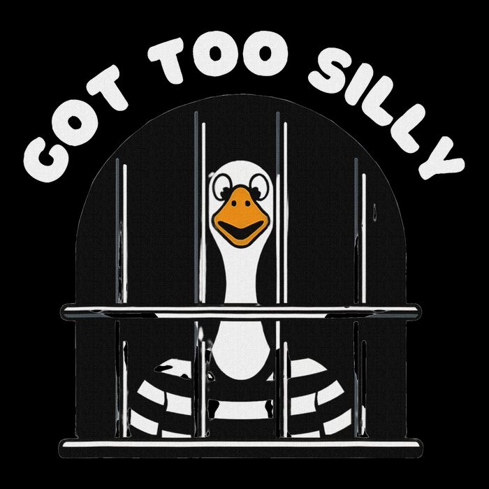 Funny Silly Goose Got Too Silly Goose In Jail Net Trapped Flat Bill Trucker Hat