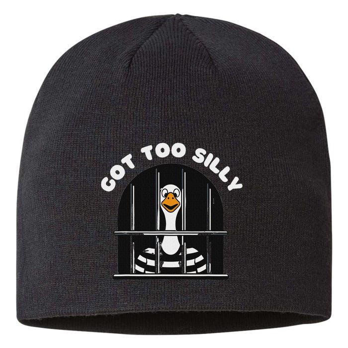 Funny Silly Goose Got Too Silly Goose In Jail Net Trapped Sustainable Beanie