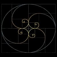 Fibonacci Spiral Golden Ratio Geometry Architecture Flat Bill Trucker Hat
