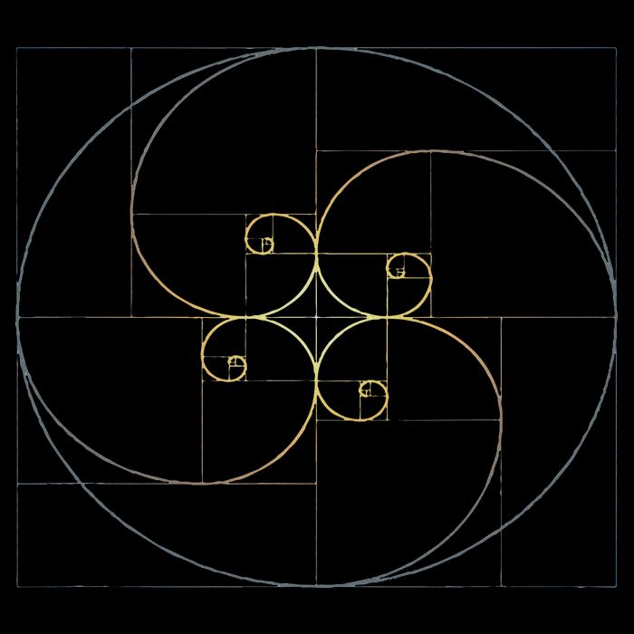 Fibonacci Spiral Golden Ratio Geometry Architecture Flat Bill Trucker Hat