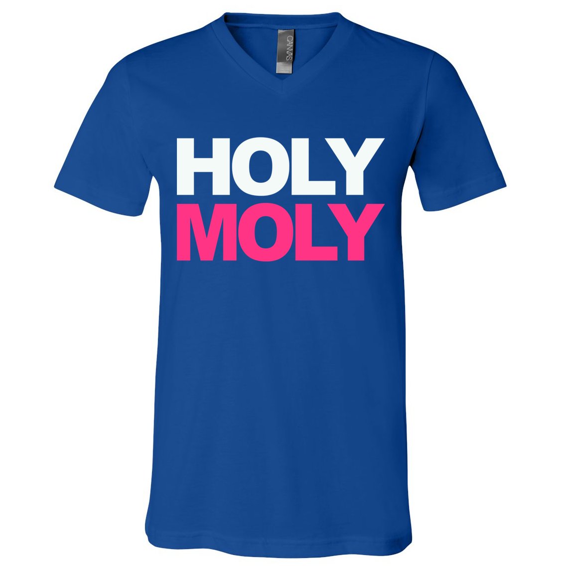 Funny Saying Gift Holy Moly And Gift V-Neck T-Shirt