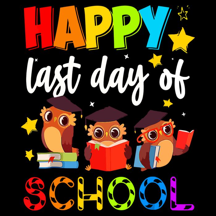 Funny School Gift Cute Owl Last Day Of School Teacher Womens T-Shirt