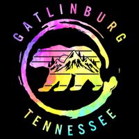 Funny Saying Gatlinburg Bear Tennessee Visor