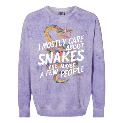 Funny Snakes Great Gift Colorblast Crewneck Sweatshirt