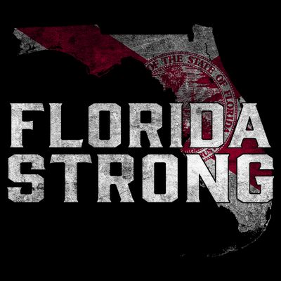 Florida Strong Hurricane Ian Support Florida Vintage American US Flag T-Shirt