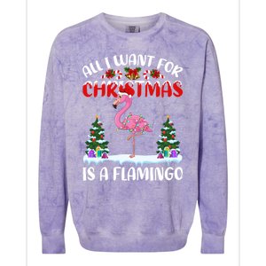 Funny Santa Hat All I Want For Christmas Is A Flamingo Gift Colorblast Crewneck Sweatshirt