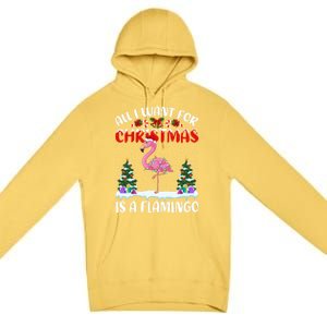 Funny Santa Hat All I Want For Christmas Is A Flamingo Gift Premium Pullover Hoodie