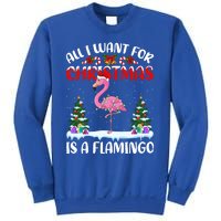 Funny Santa Hat All I Want For Christmas Is A Flamingo Gift Sweatshirt