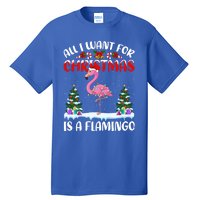 Funny Santa Hat All I Want For Christmas Is A Flamingo Gift Tall T-Shirt