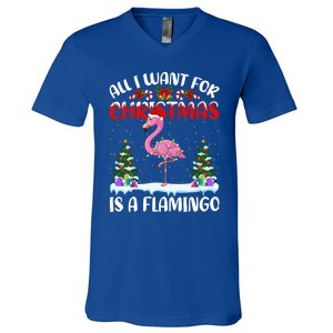 Funny Santa Hat All I Want For Christmas Is A Flamingo Gift V-Neck T-Shirt