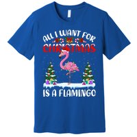 Funny Santa Hat All I Want For Christmas Is A Flamingo Gift Premium T-Shirt