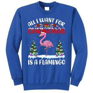 Funny Santa Hat All I Want For Christmas Is A Flamingo Gift Tall Sweatshirt