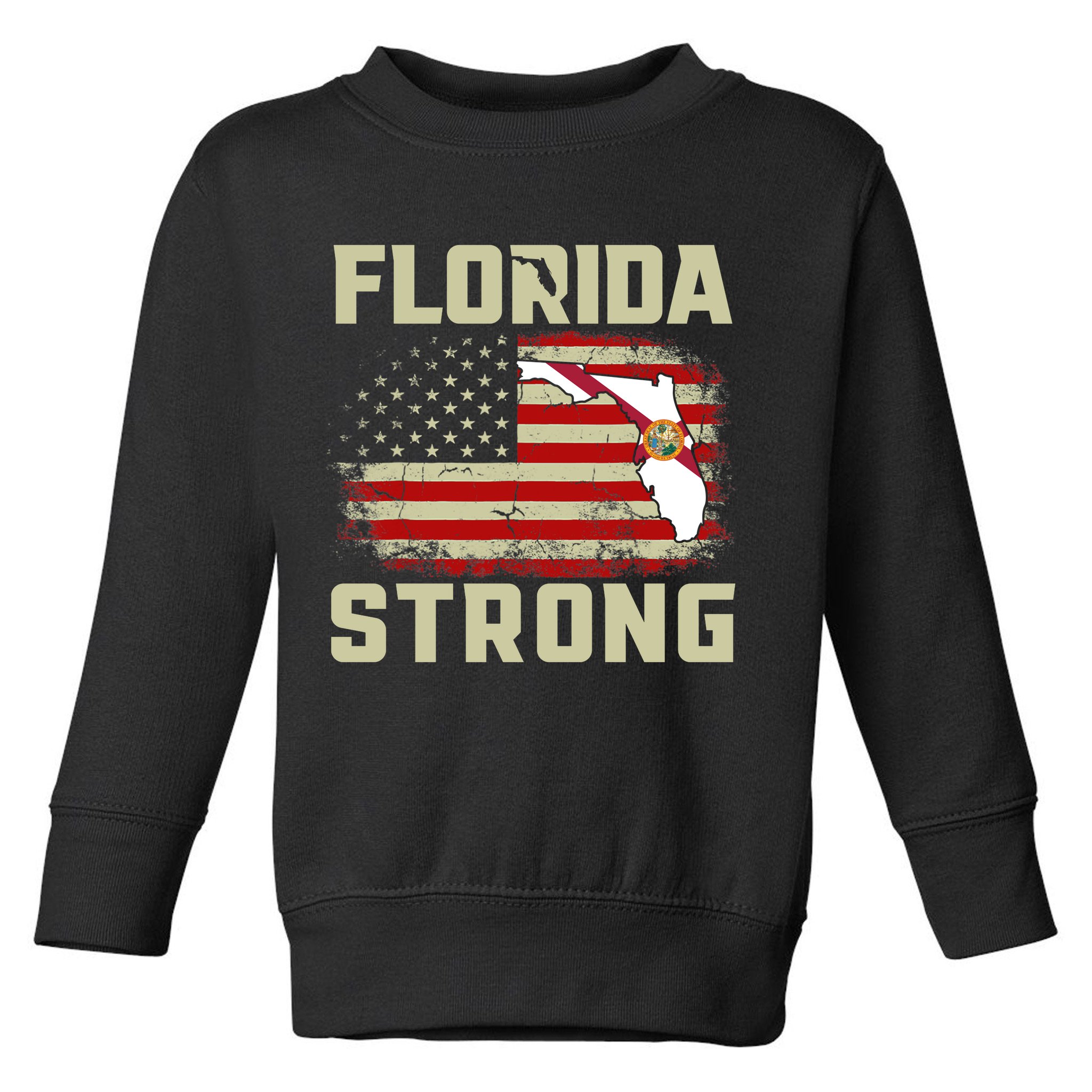 Florida Strong Hurricane Ian Support Florida Toddler Sweatshirt
