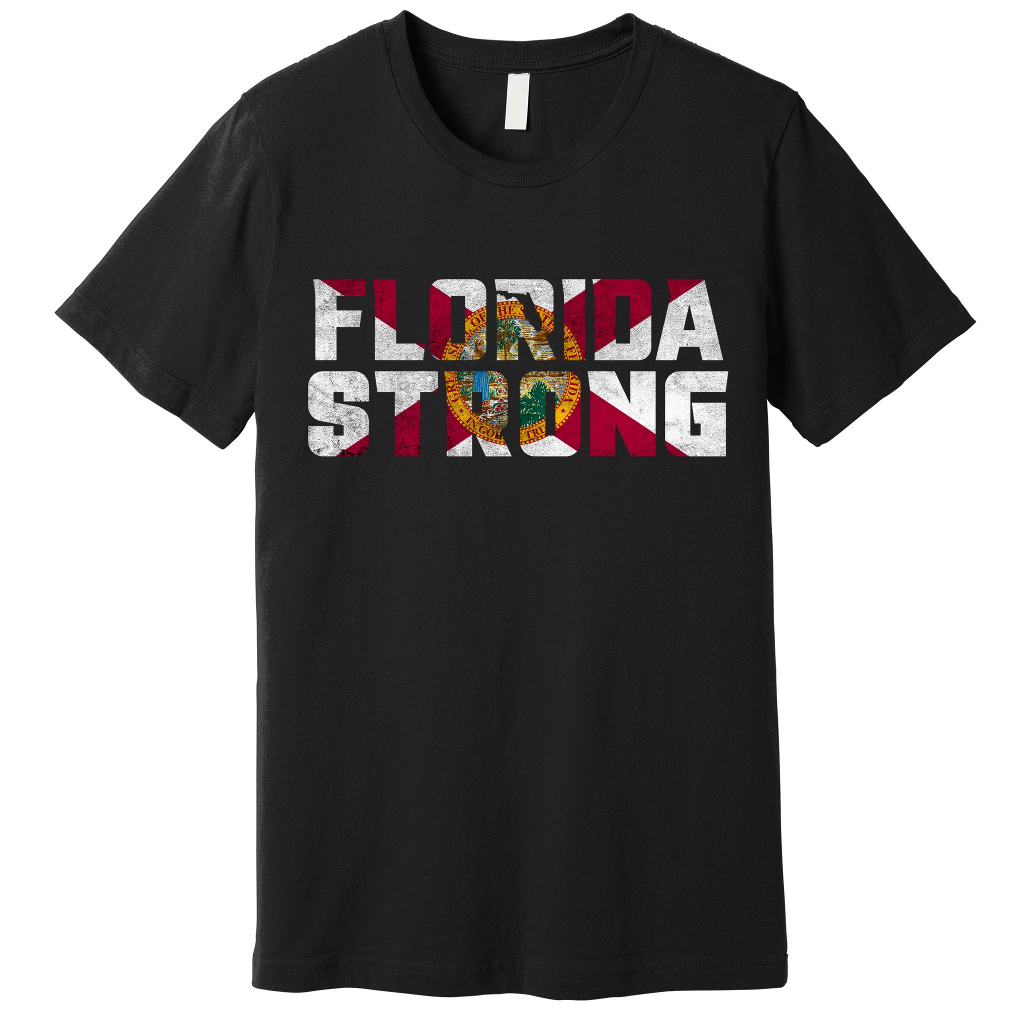Florida Strong Hurricane Ian Support Florida Vintage American US Flag Premium T-Shirt