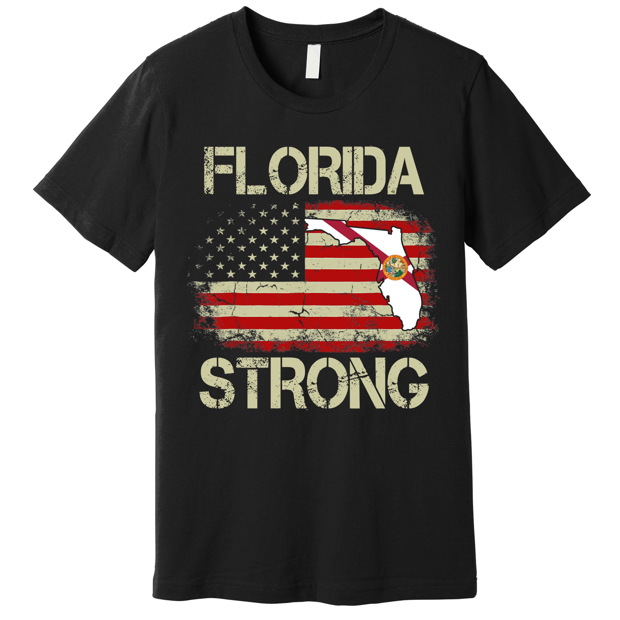 Florida Strong Hurricane Ian Support Florida Vintage American US Flag Premium T-Shirt