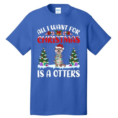 Funny Santa Hat All I Want For Christmas Is A Otters Gift Tall T-Shirt