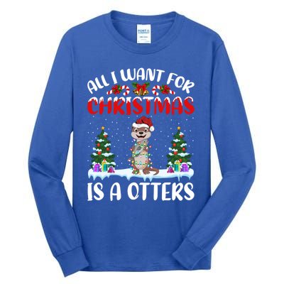 Funny Santa Hat All I Want For Christmas Is A Otters Gift Tall Long Sleeve T-Shirt