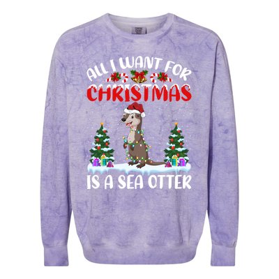 Funny Santa Hat All I Want For Christmas Is A Sea Otter Gift Colorblast Crewneck Sweatshirt