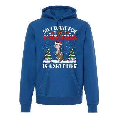 Funny Santa Hat All I Want For Christmas Is A Sea Otter Gift Premium Hoodie