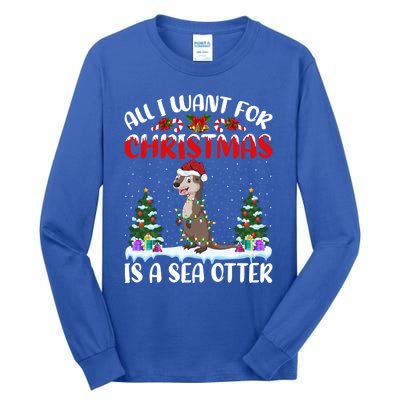 Funny Santa Hat All I Want For Christmas Is A Sea Otter Gift Tall Long Sleeve T-Shirt