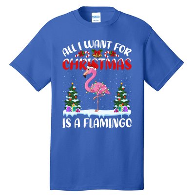 Funny Santa Hat All I Want For Christmas Is A Flamingo Great Gift Tall T-Shirt